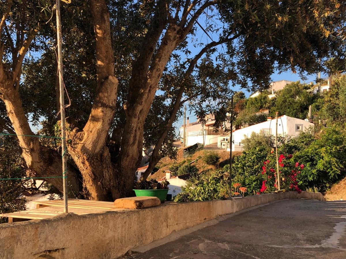 Casa Anneli - Relaxing Under The Olive Tree Villa Aljezur Exterior photo